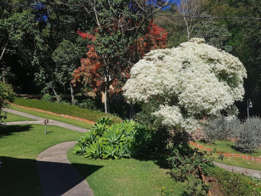 Recanto Dos Beija Flores, Chale Lantana B Monte Alegre do Sul Exteriér fotografie